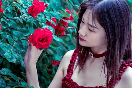 上海合作组织天津峰会将于8月31日至9月1日举行